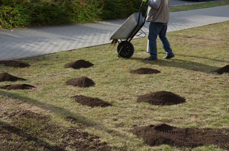Bare Lawn Repair
