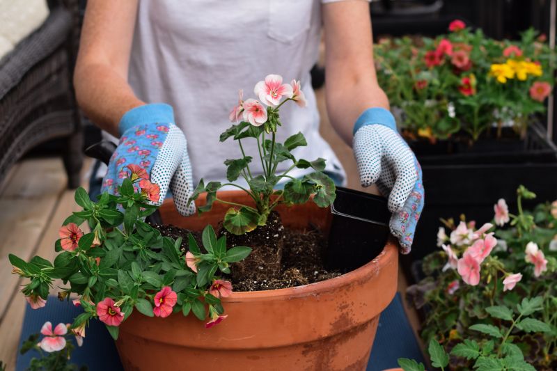 Bush Planting Service in Honolulu, HI