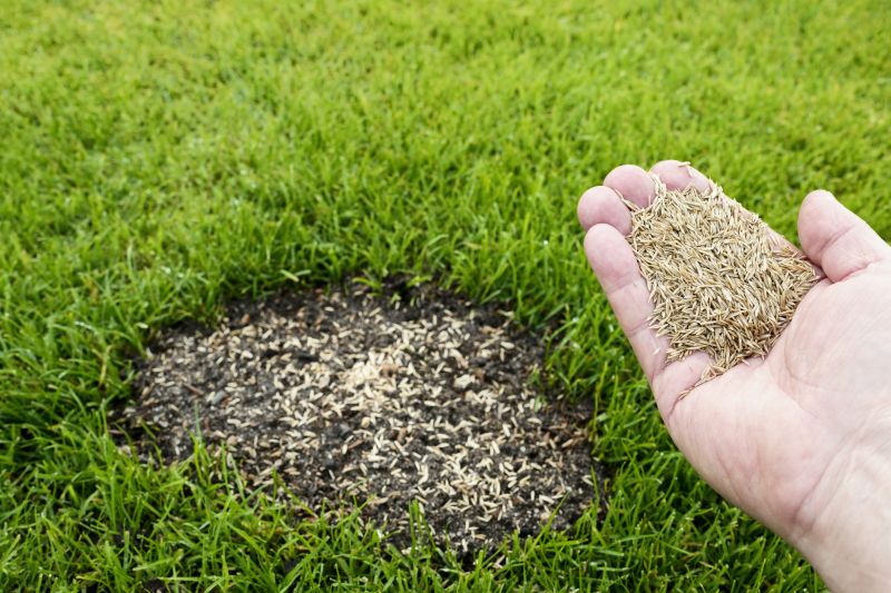 Damaged Yard Repair in Honolulu, HI