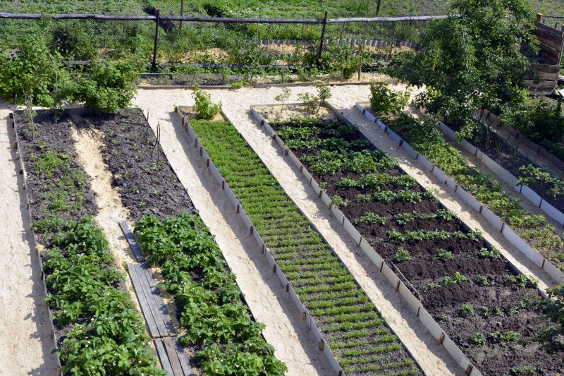 Garden Bed Construction in Ventura County, CA