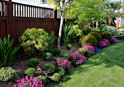 Garden Care Service in Ventura County, CA