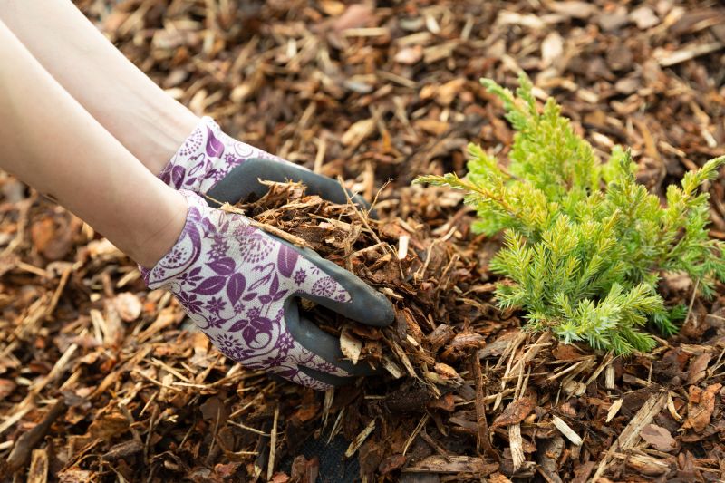 Garden Mulch Installation in Honolulu, HI