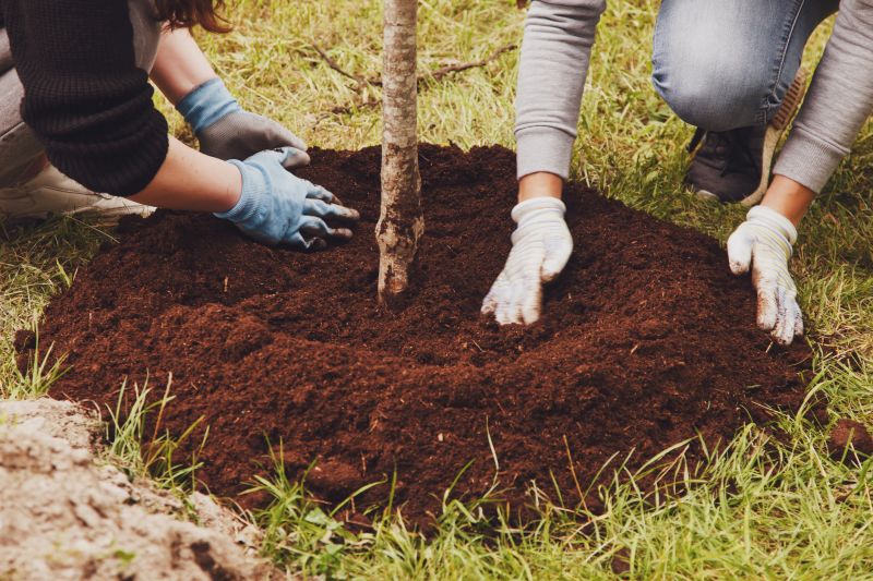 Japanese Cherry Tree Planting in Honolulu, HI