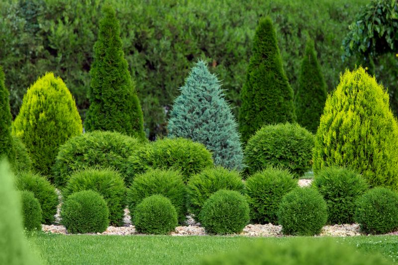 Landscape Planting Service in Honolulu, HI