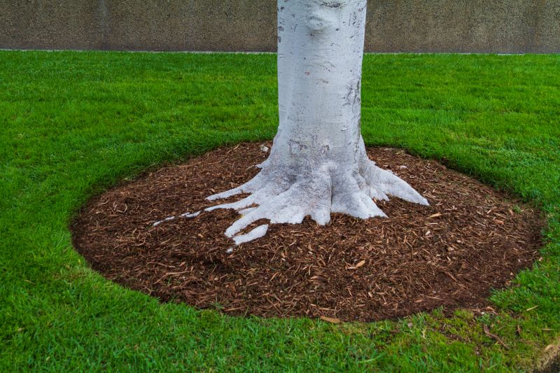 Shredded Mulch Installation in Honolulu, HI