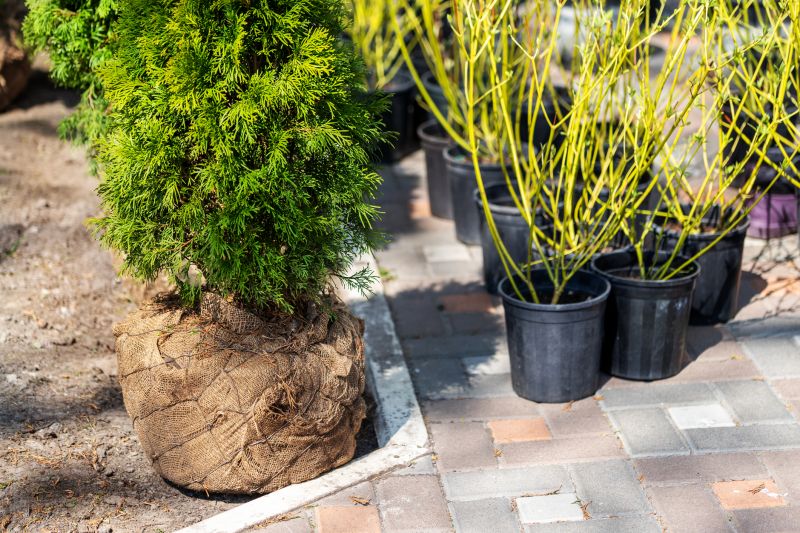 Shrub Planting Service in Honolulu, HI
