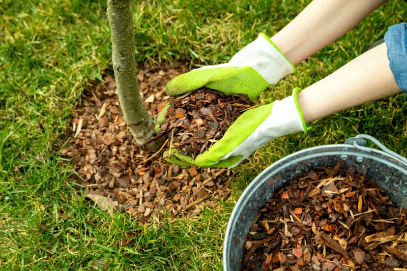 Weeding And Mulching in Honolulu, HI