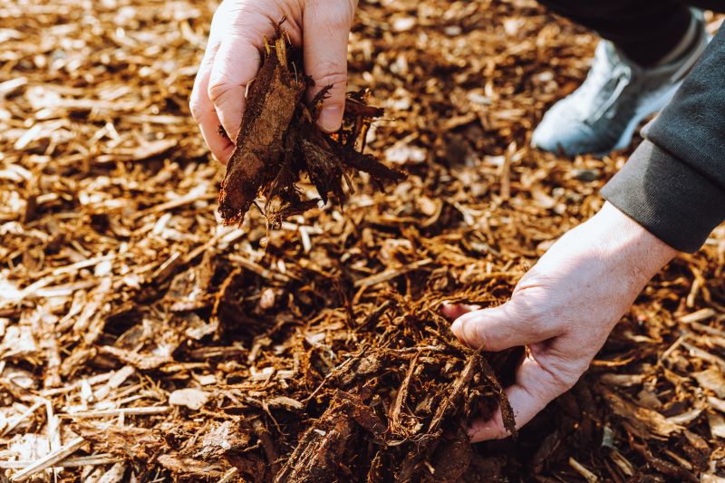 Weeding And Mulching in Ventura County, CA