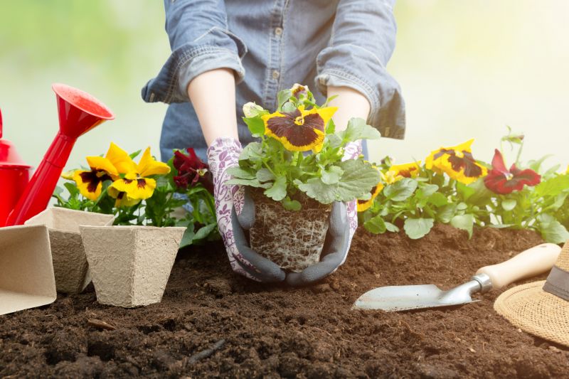 Perennials Planting in Ventura County, CA