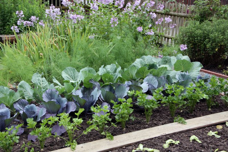 Small Garden Landscaping in Ventura County, CA